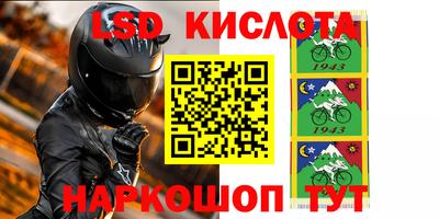 СК Волгодонск