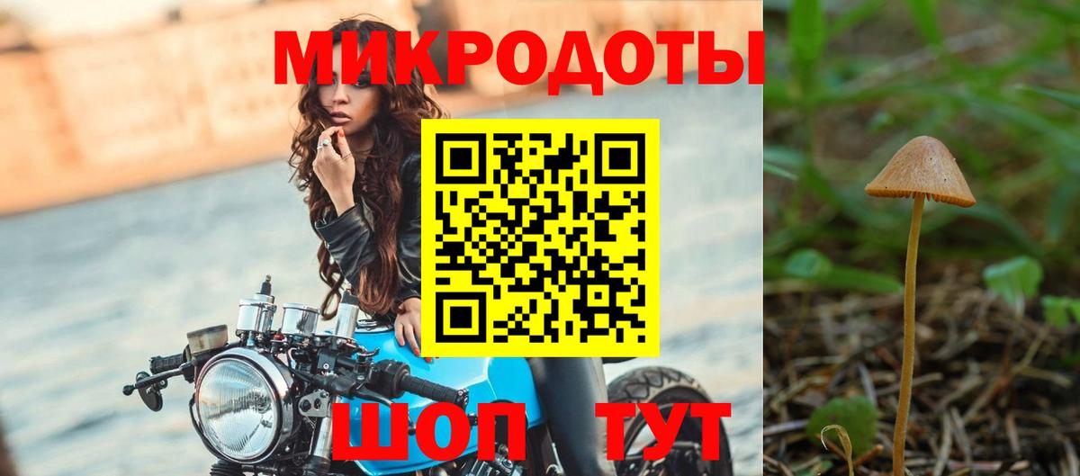 Псилоцибиновые грибы Psilocybe Кинешма
