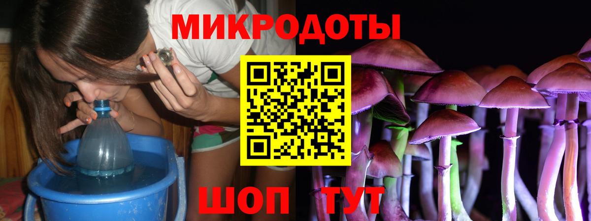 купить   Галлюциногенные грибы Psilocybine cubensis  Псилоцибиновые грибы прущие грибы  Вход с VPN  Кинешма 